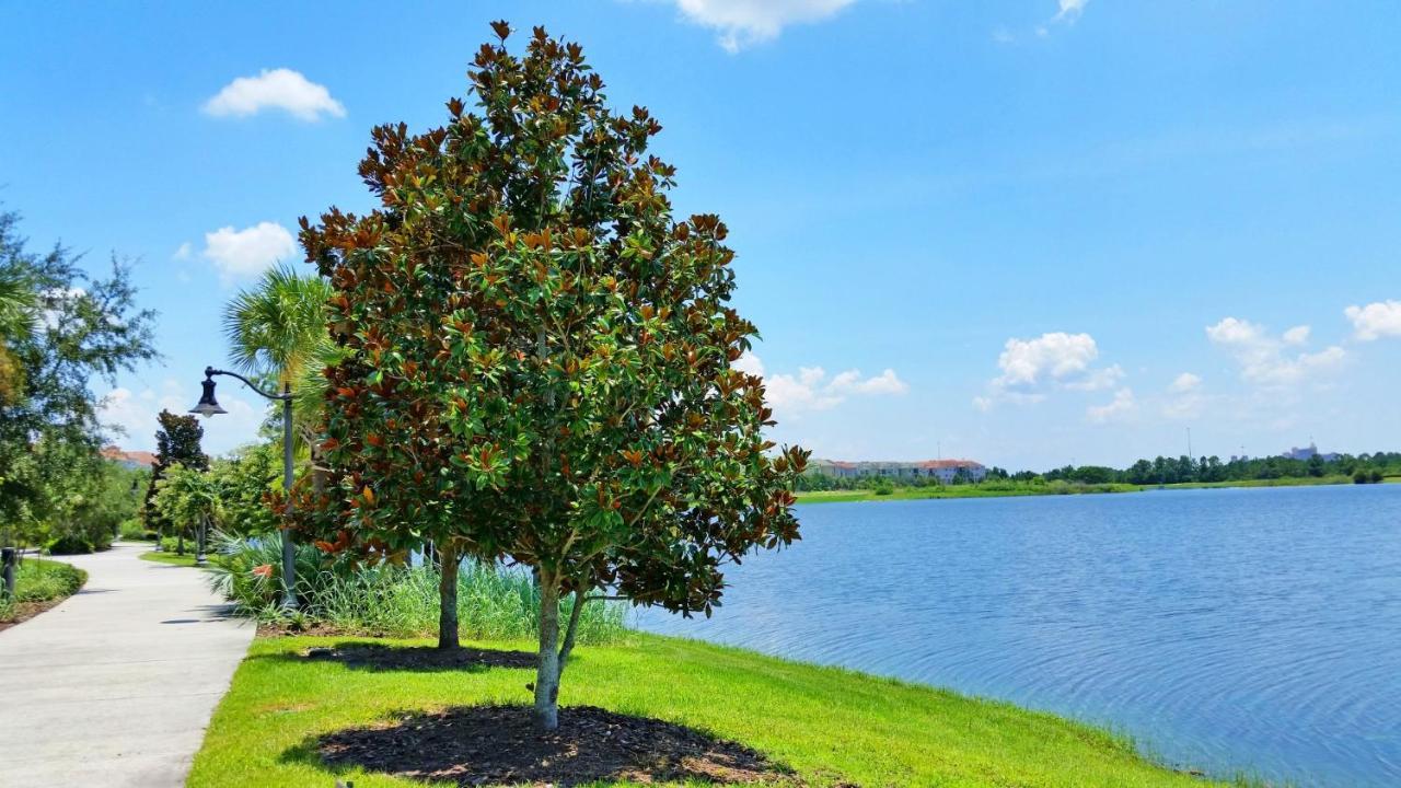 Stunning Top-Floor Condo, Next To Clubhouse Orlando Exterior photo